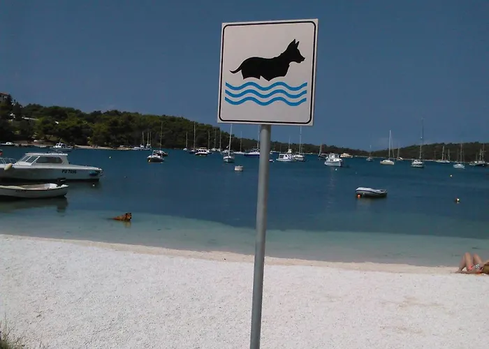 Appartamento Drago, Vinkuran